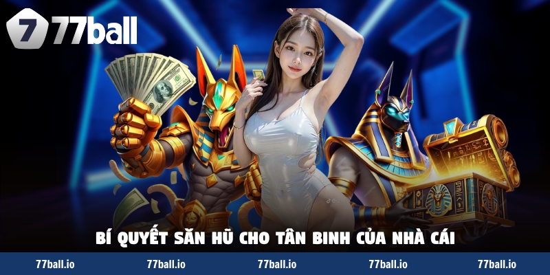 Bí quyết săn hũ cho tân binh của nhà cái Bí quyết săn hũ cho tân binh của nhà cái