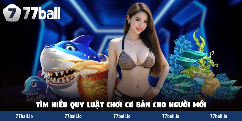 Tìm hiểu quy luật chơi cơ bản cho người mới Tìm hiểu quy luật chơi cơ bản cho người mới