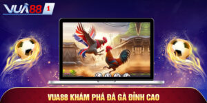 vua88 kham pha da ga dinh cao vua88 kham pha da ga dinh cao
